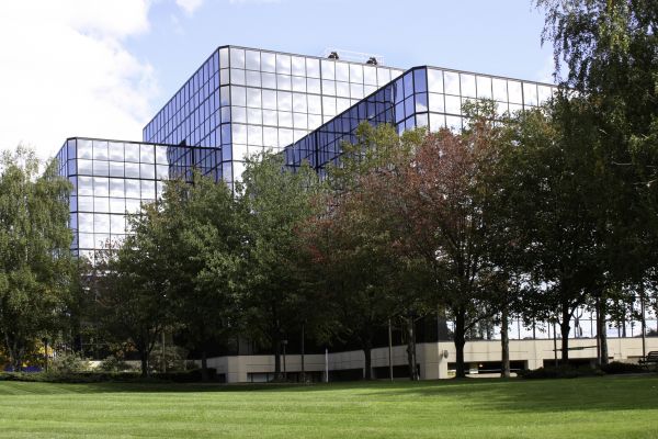 Commercial Tree Trimming in Lake City