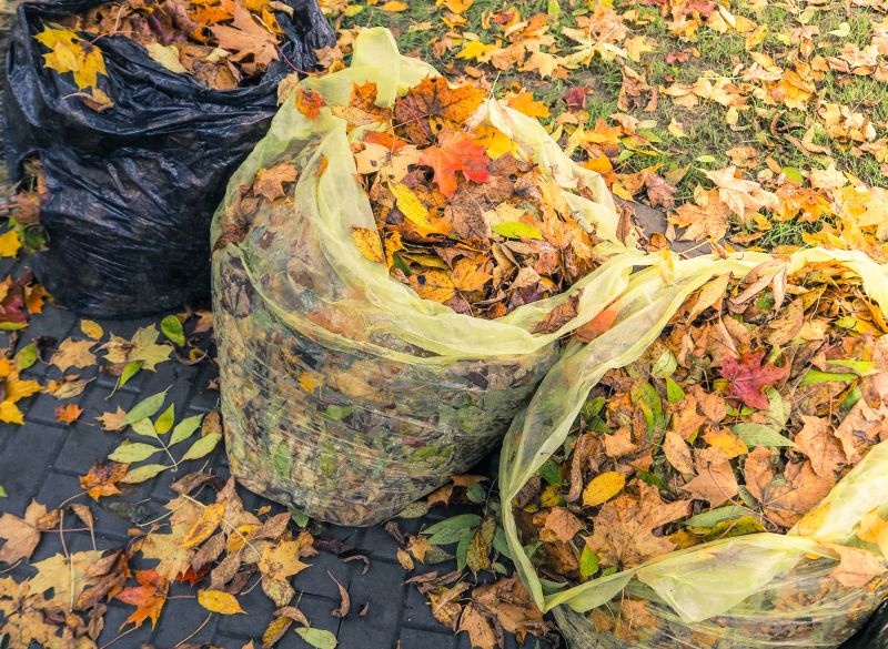 Leaf Collection in Bags